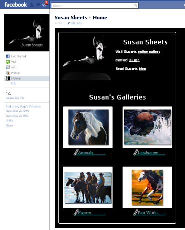 Custom Facebook Page Custom Facebook Page