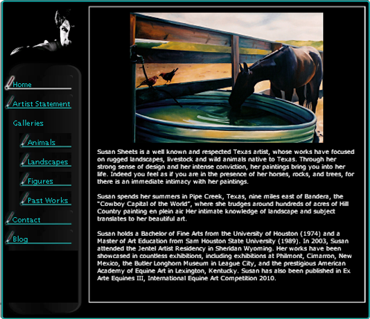 Custom Website Web Site